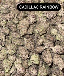 Cadillac rainbow strain