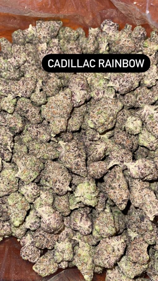 Cadillac rainbow strain