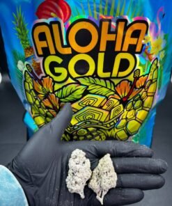 Aloha Gold Snow Caps